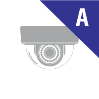 Analog Domes Camera