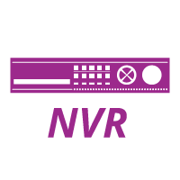 Standalone NVR